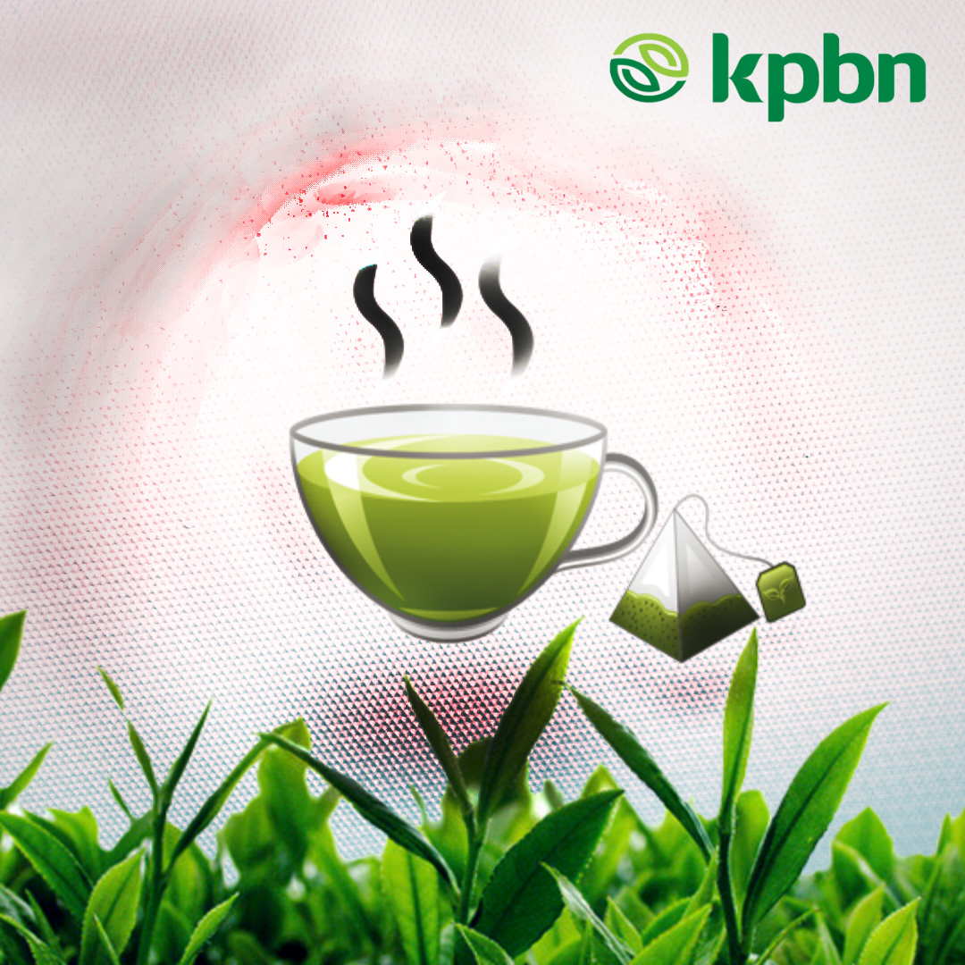 Green Tea Shown to Protect Against Obesity, Study Finds